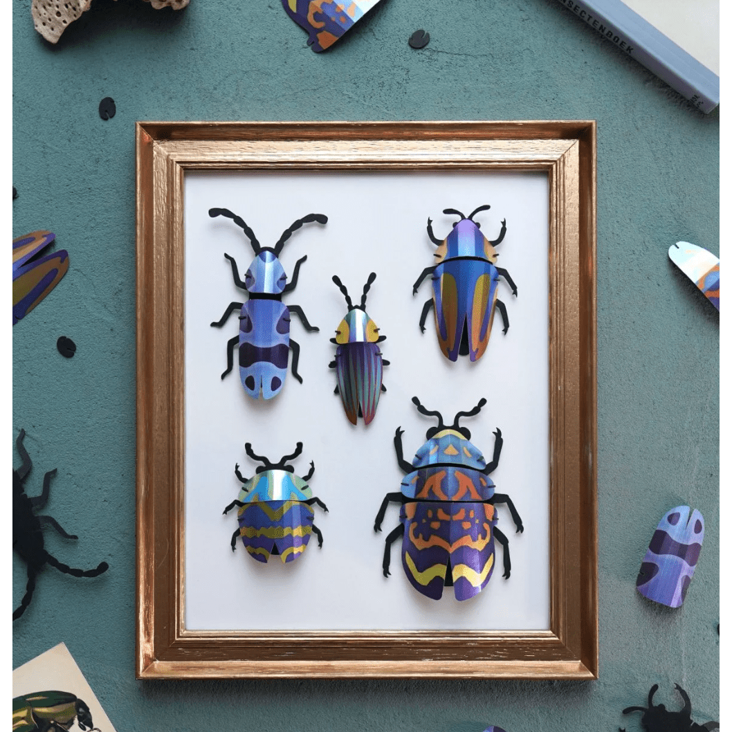 Collection de Coléoptères 3D “Blue Blend” – DIY déco murale – Assembli - Boutique Ømm
