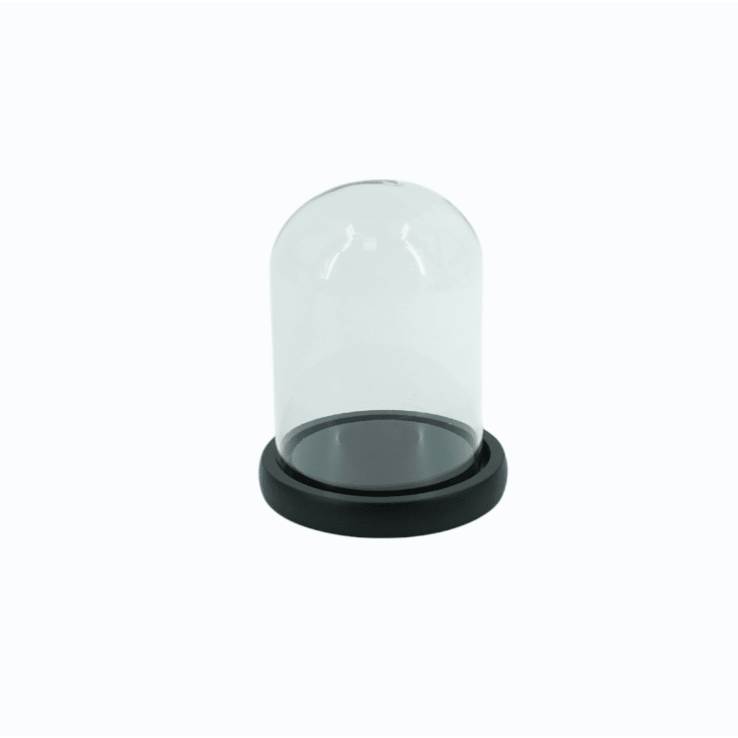 Cloche décorative verre & bois 15 cm – Housevitamin - Boutique Ømm