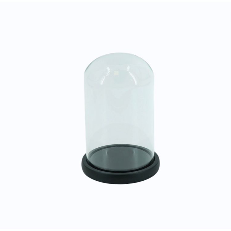 Cloche décorative verre & bois 22 cm – Housevitamin - Boutique Ømm