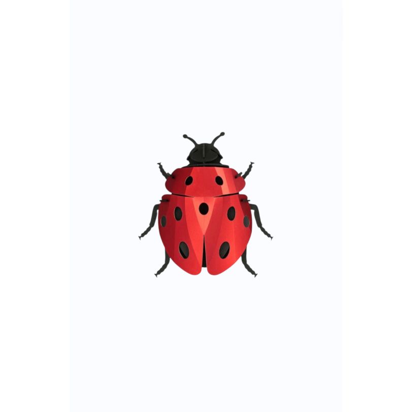 Coccinelle en Papier 3D à Monter – Assembli - Boutique Ømm
