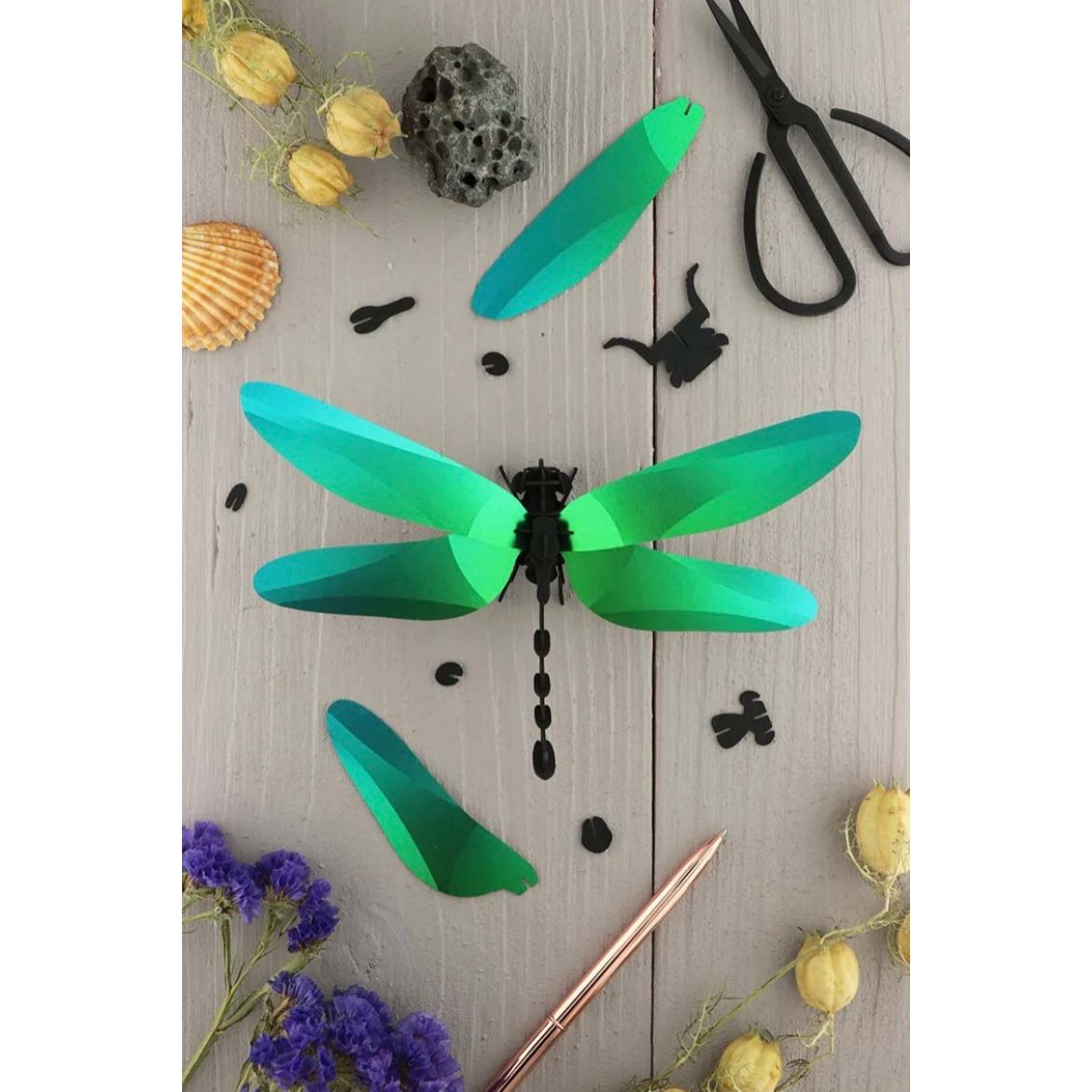 Libellule Anisoptera à monter soi-même – Puzzle 3D en papier – Assembli - Boutique Ømm